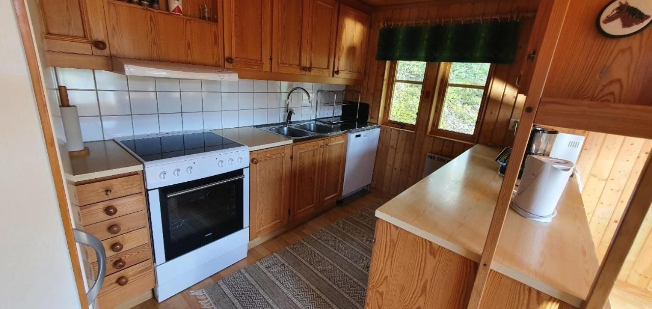 Sauna | Wi-Fi | Terrace | Wood Stove | Cable Tv Lofsdalen Zewnętrze zdjęcie