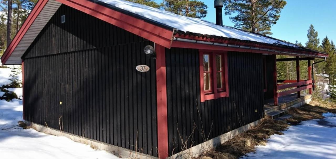 Sauna | Wi-Fi | Terrace | Wood Stove | Cable Tv Lofsdalen Zewnętrze zdjęcie